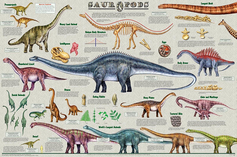 name of the dinosaur with long neck
