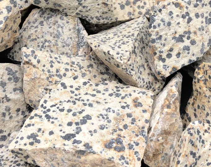 1 LB Dalmatian Stone from Mexico