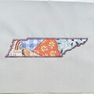 Può includere: Un'applique in tessuto patchwork dello stato del Tennessee. L'applique è realizzata con diversi tessuti con motivi floreali e geometrici in tonalità di blu, arancione, verde e marrone. L'applique è contornata da un filo viola.