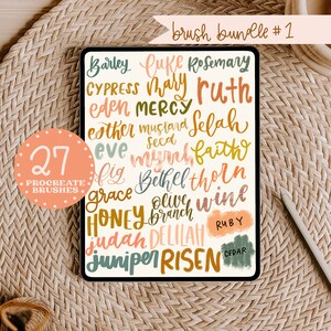 27 pack procreate brush bundel / iPad belettering / instant download