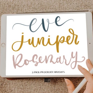 Procreate Brush Set / 3 Pack / Procreate