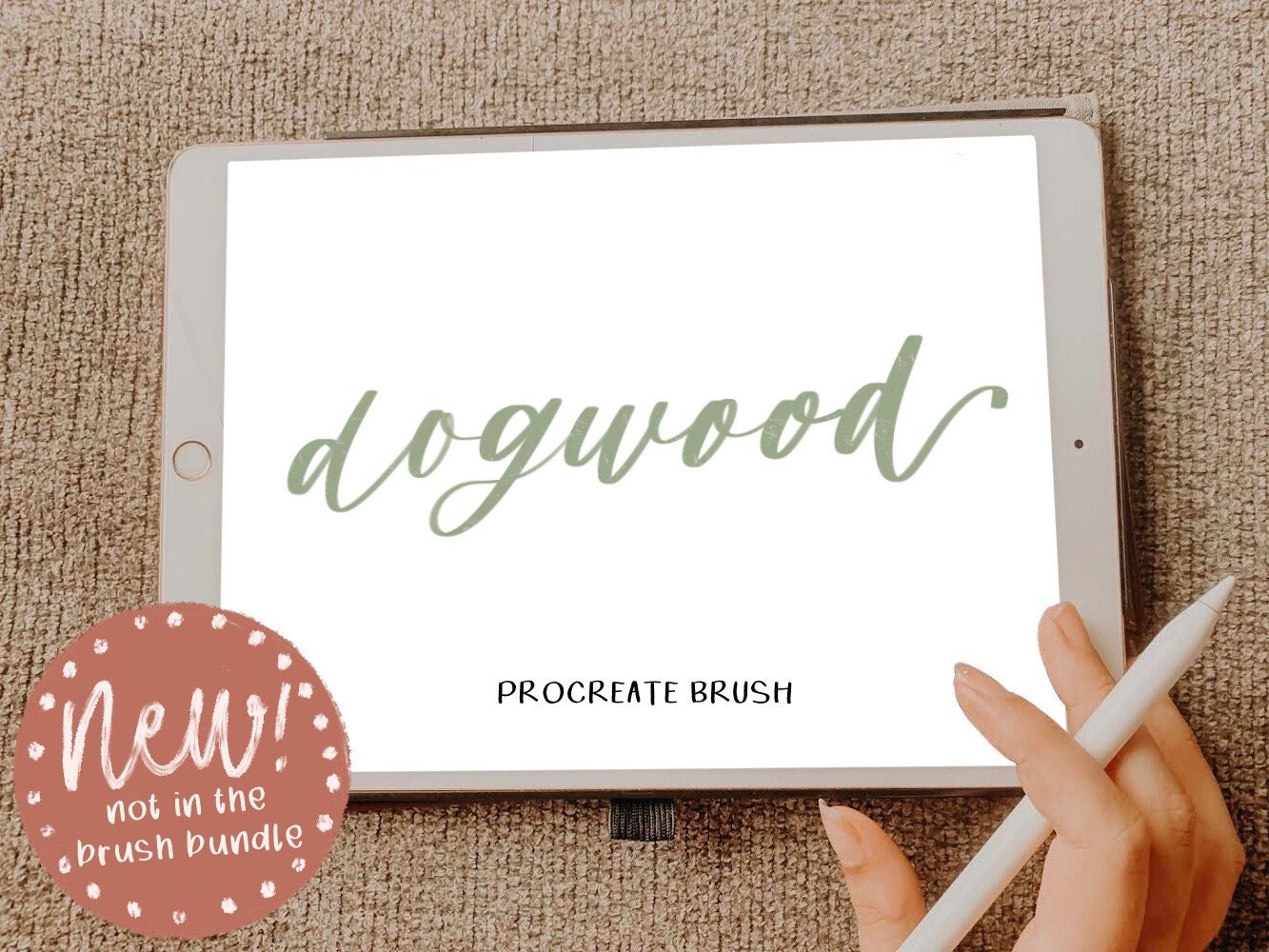 Dogwood Procreate brush/ Lettering/ Procreate