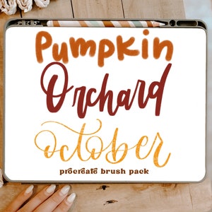 Fall 3 Brush procreate Brush Pack/Instant Download/Pinsel