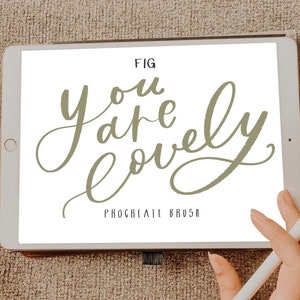 Confezione da 3 pennelli procreate / procreate / scritta iPad immagine 5