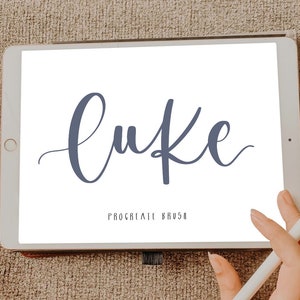 Luke procreate brush / instant download