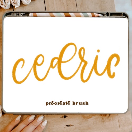Honey Procreate Brush /instant Download / Procreate Etsy