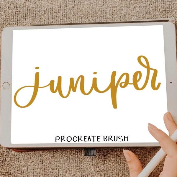 Juniper Procreate Brush / iPad Pro / procreate