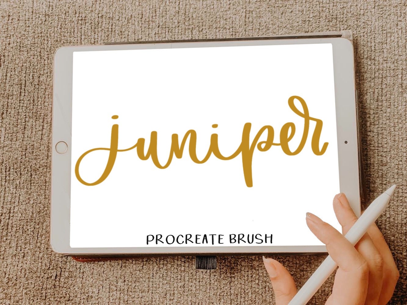 Juniper Procreate Brush / iPad Pro / procreate