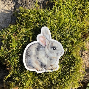 Baby Bunny, vinyl waterproof sticker