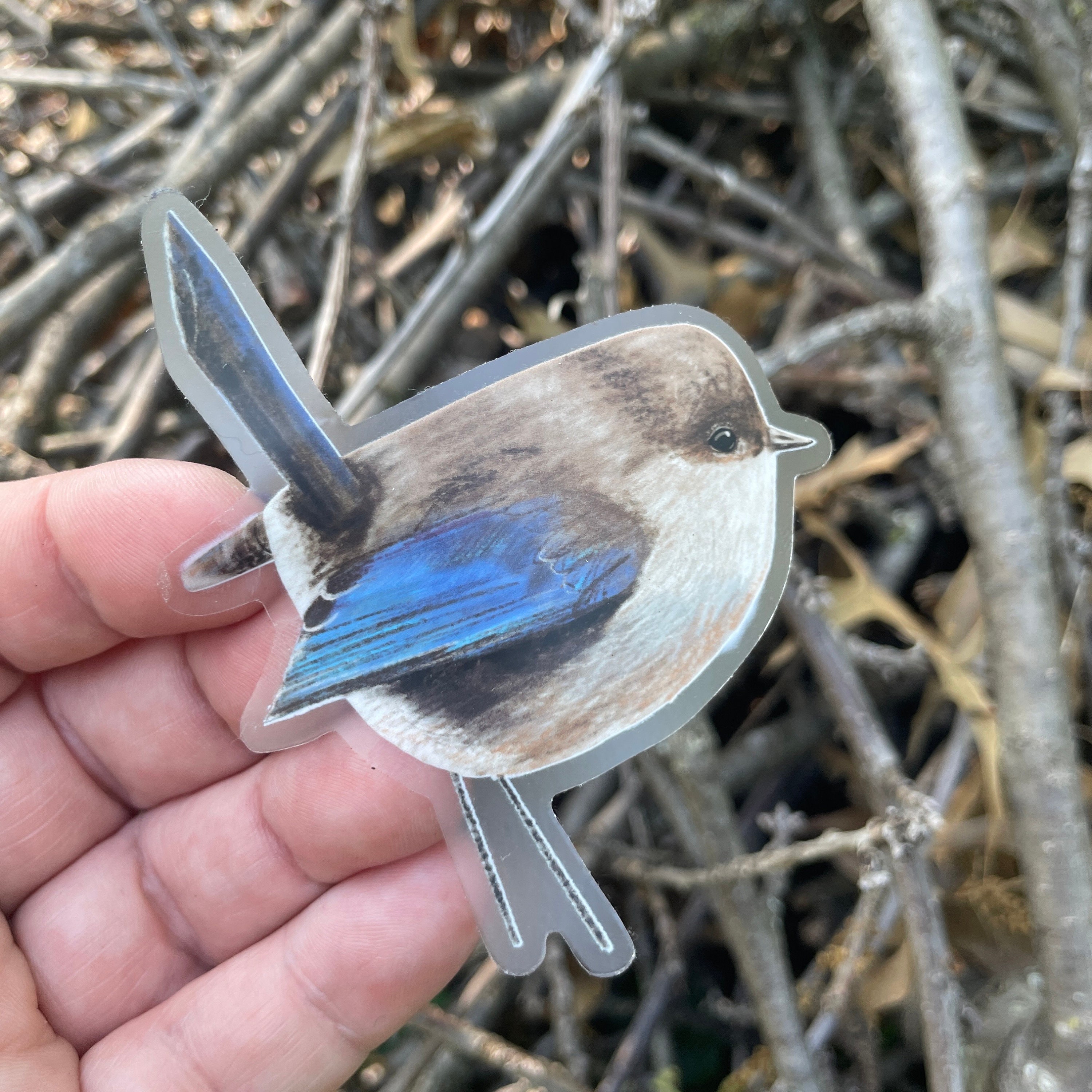 Eastern Bluebird Sticker: Clear Vinyl Waterproof Bird Decal - Etsy