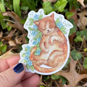 Orange cat sticker, ginger kitty sticker, dishwasher safe vinyl