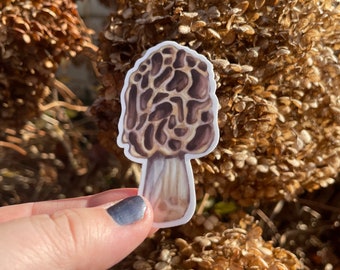 Morel Mushroom Sticker: Waterproof Vinyl Nature Decal