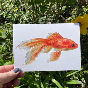 May include: A watercolor painting of a goldfish with orange and white scales. The fish is swimming to the right with its fins spread out.