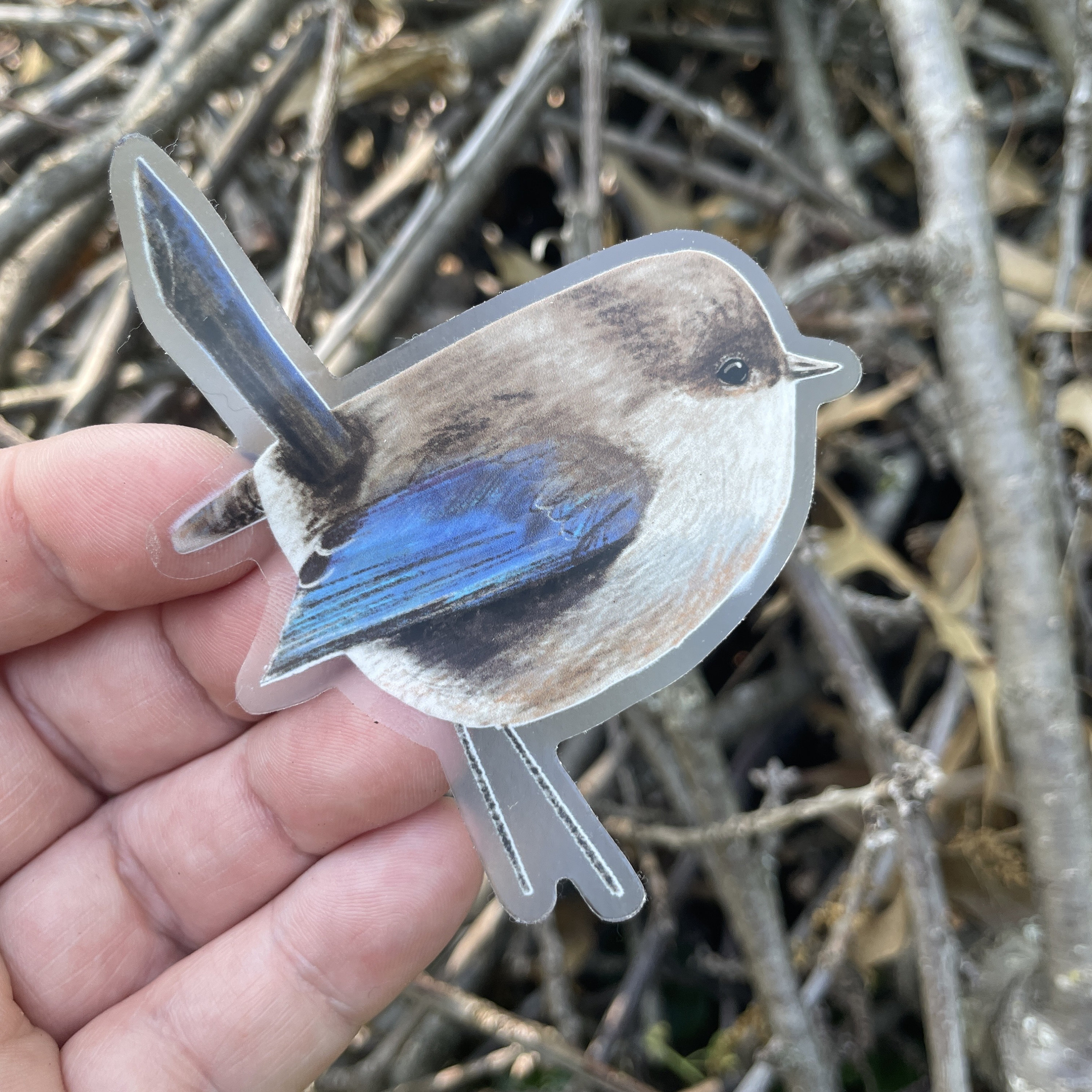 Eastern Bluebird Sticker: Clear Vinyl Waterproof Bird Decal - Etsy