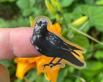Crow Sticker, Waterproof Vinyl Decal (1.5x1.5 inches)