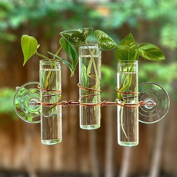 The Lily Window Propagator