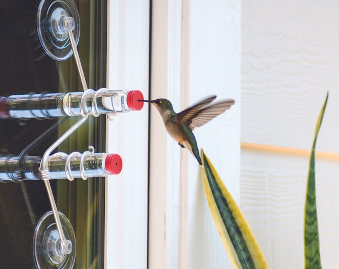 Der Geo-Futterspender | Geometrischer Kolibri-Futterspender für Fenster | Aluminium | Futterspender für Süßigkeiten | Modern | Wohndekor | Glasflaschen | Saugnäpfe