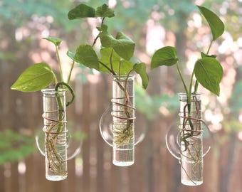 The Little Window Propagator