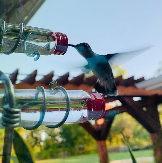 Hummingbird feeders for sale deals