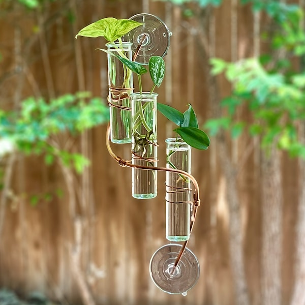 The Willow Window Propagator