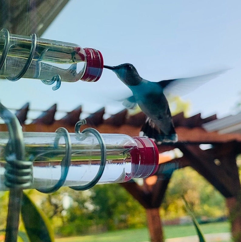 May include: A hummingbird with iridescent blue-green feathers hovers near a clear glass feeder with red accents. The feeder is suspended by a metal wire frame. The background features a wooden structure and green foliage under a bright blue sky.
