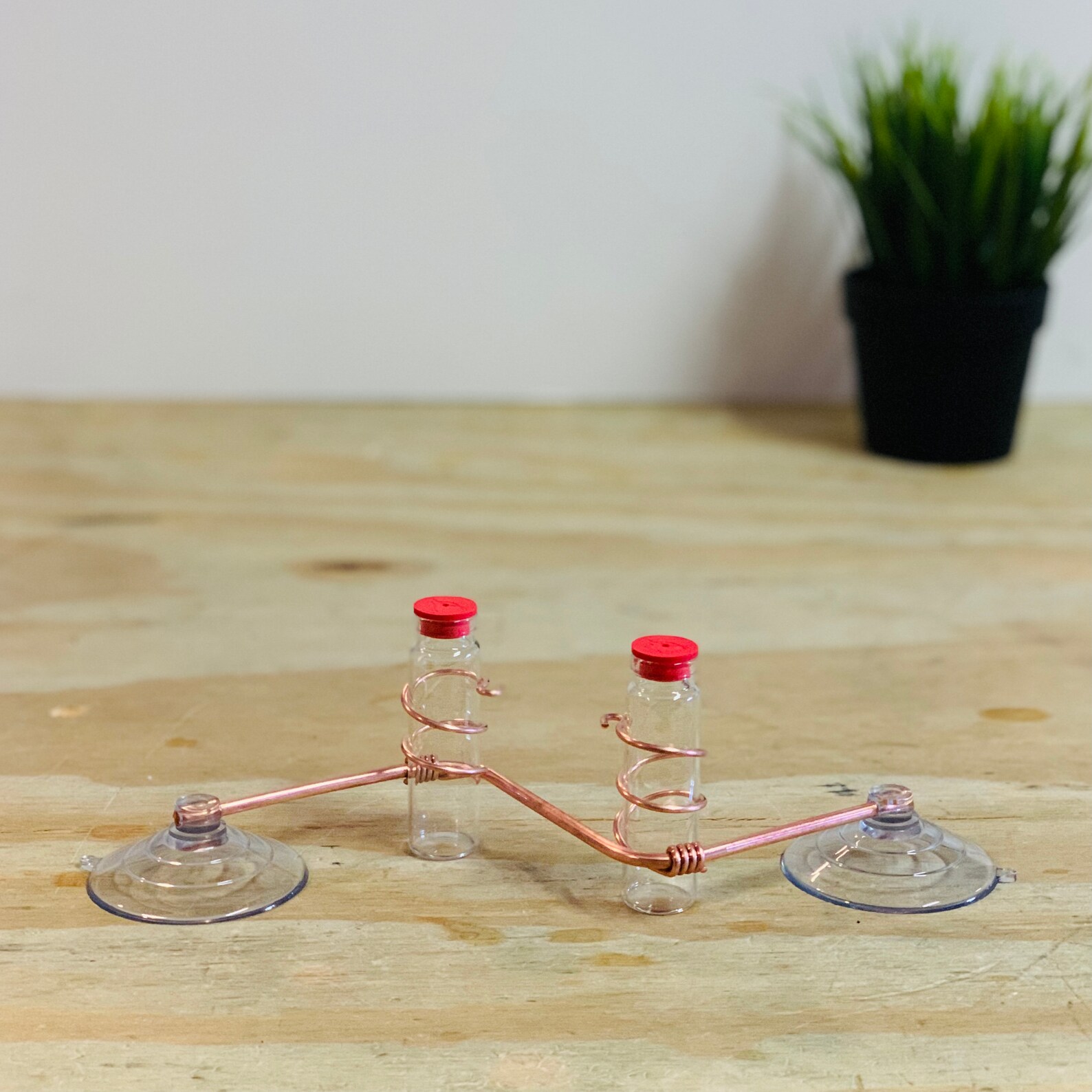 Geometric Window Hummingbird Feeder Sweet Feeders Geo Etsy