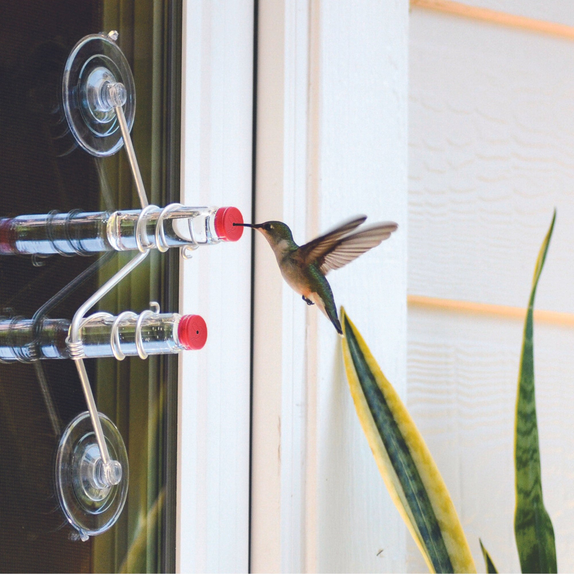 Geometric Window Hummingbird Feeder | Aluminum | Sweet Feeders | Geo Feeder | Modern | Home Decor | Glass Bottles | Suction Cups