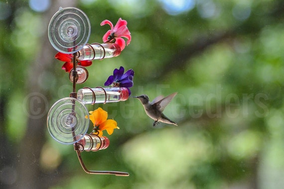 4 Station Window Hummingbird Feeder Handcrafted Copper Etsy