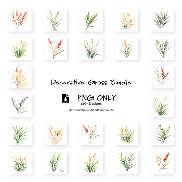 Decorative Grass | Ornamental Grass | Watercolor PNG | 1x1 | Instant Digital Download