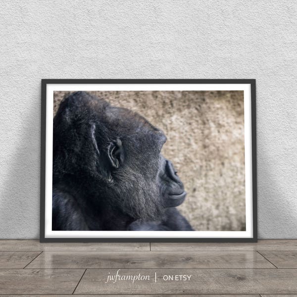 Candid Gorilla Print, Nature Photography, Printable Large Poster,  Instant Digital Download