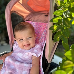Stroller Liner