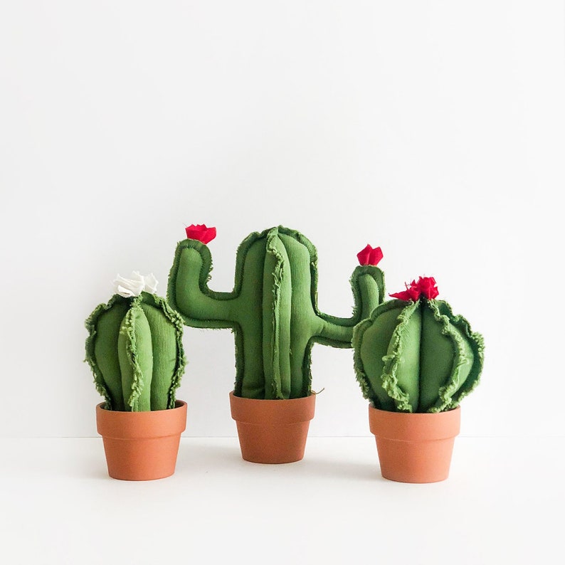 cactus de peluche