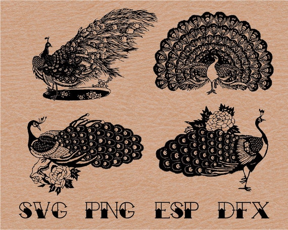 Download Chinese Paper Cut Peacock Vector Svg Clipart Silhouette Etsy