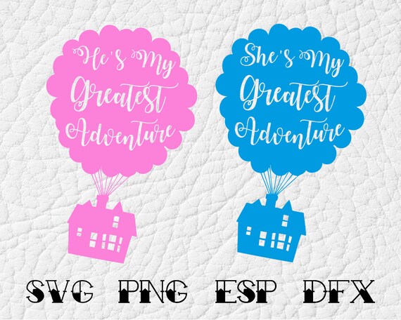 Free Free 304 Disney Up Svg SVG PNG EPS DXF File