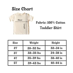 Frozen Elsa Birthday Shirt – Custom Name and Age