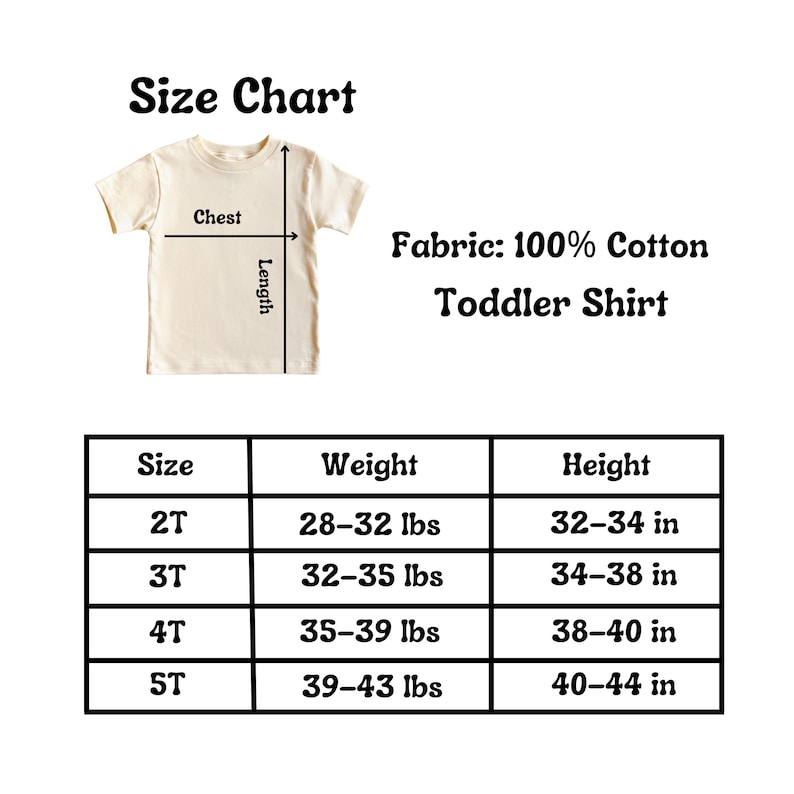 Frozen Elsa Birthday Shirt – Custom Name and Age