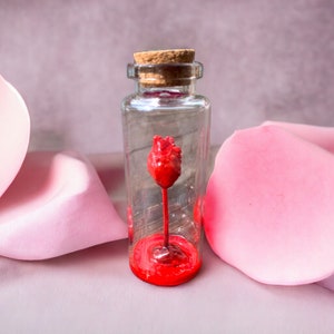 cuore anatomico in un bicchiere, portafortuna, piccolo ringraziamento, regalo per dottori