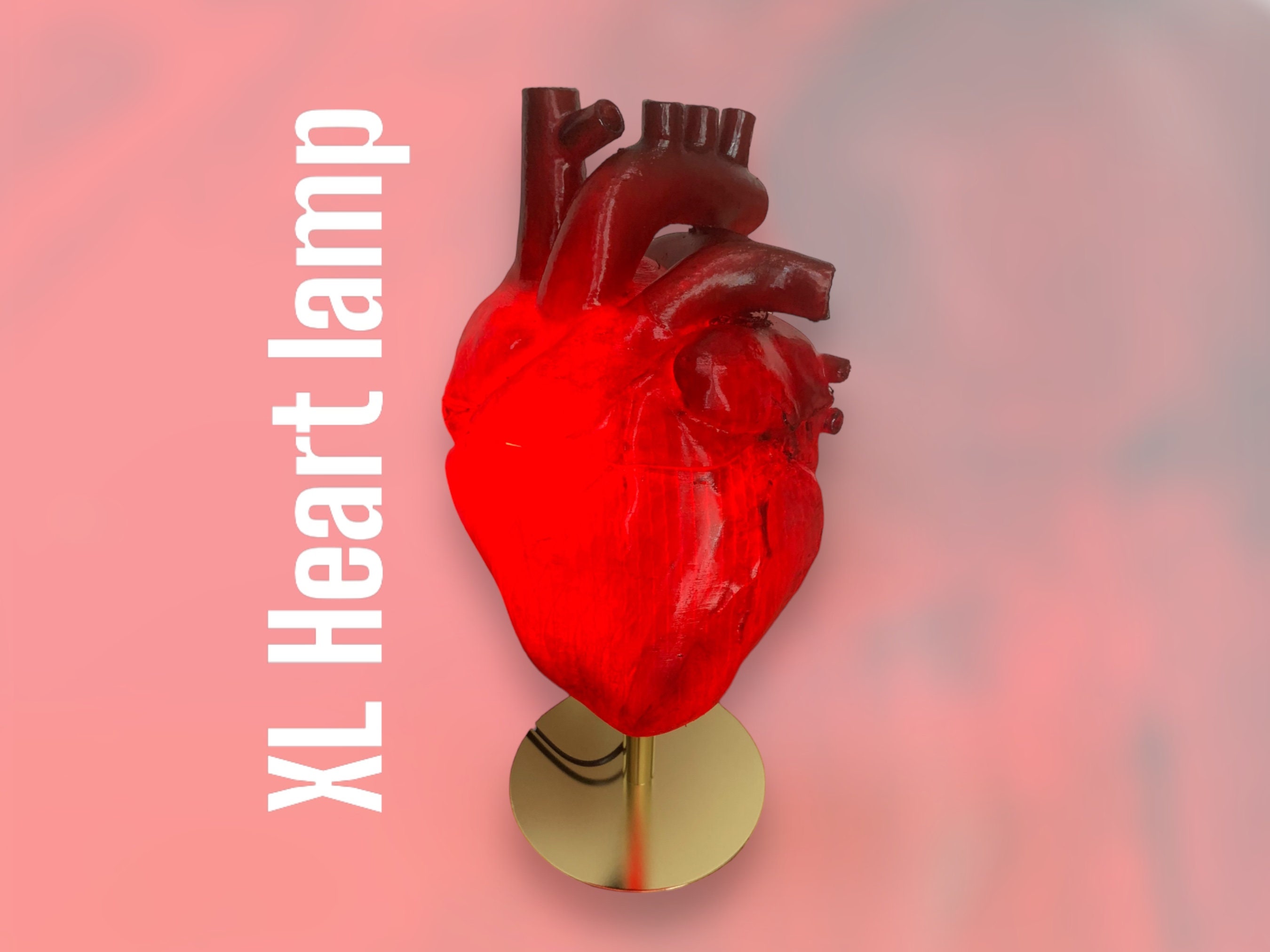 Anatomical heart lamp deals