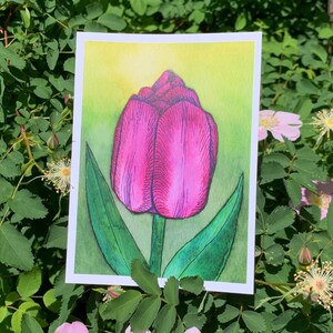 Flower Notecard: Pink and Purple Tulip