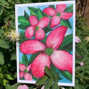 Rosa Hartriegel Blumen Grußkarte