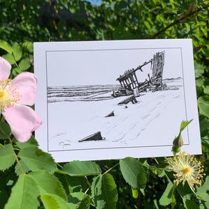Oregon Coast Trail Card Series — Peter Iredale Shipwreck
