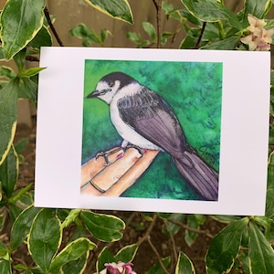 Cartão de felicitações Gray Jay — em branco por dentro para sua mensagem personalizada