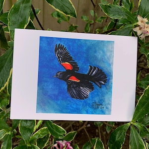 Red-Winged Blackbird Greeting Card 2—Blank Inside for Your Custom Message