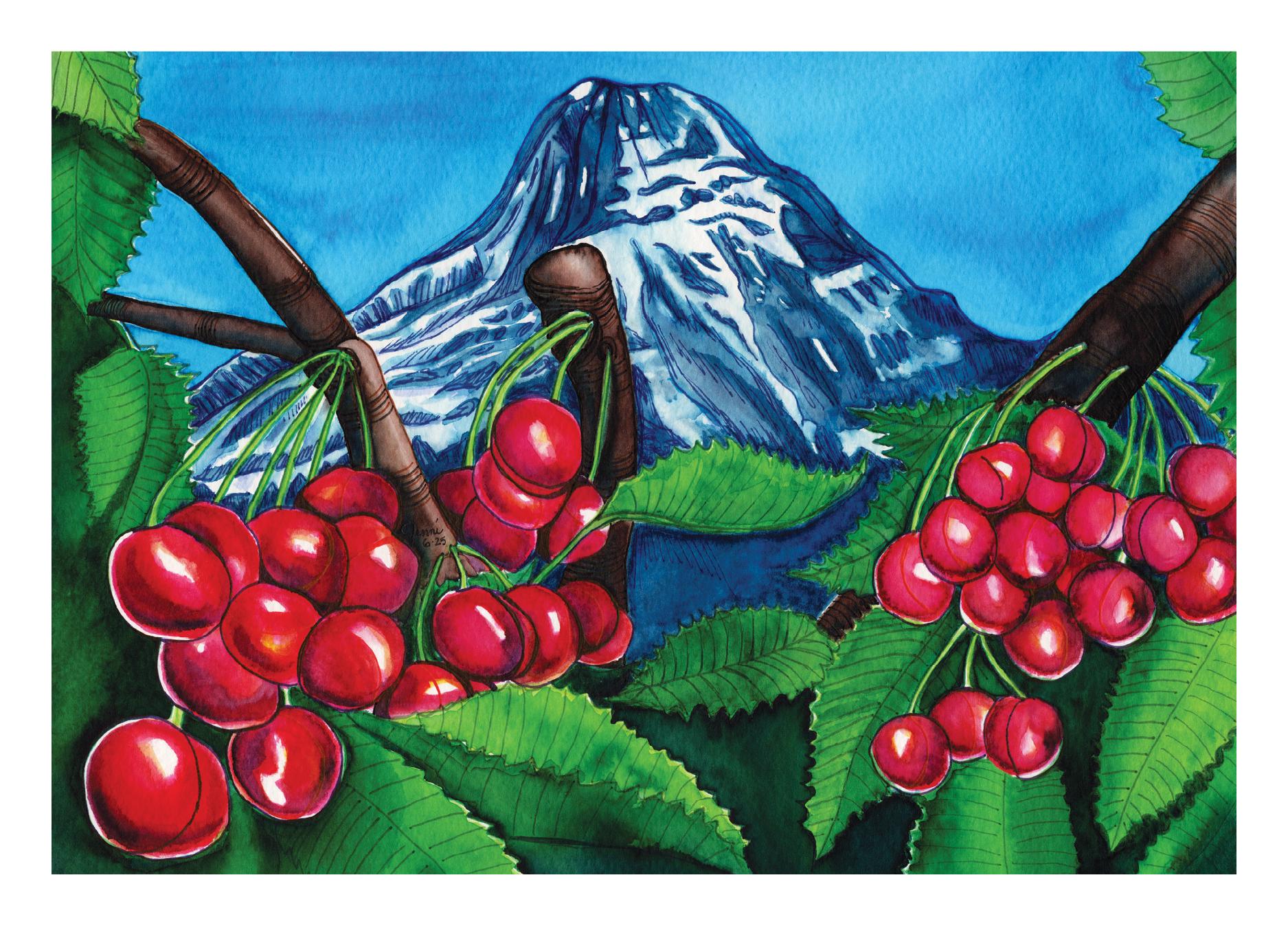 フッドリバー渓谷の夏の桜とフッド山の風景画が描かれたノートカード