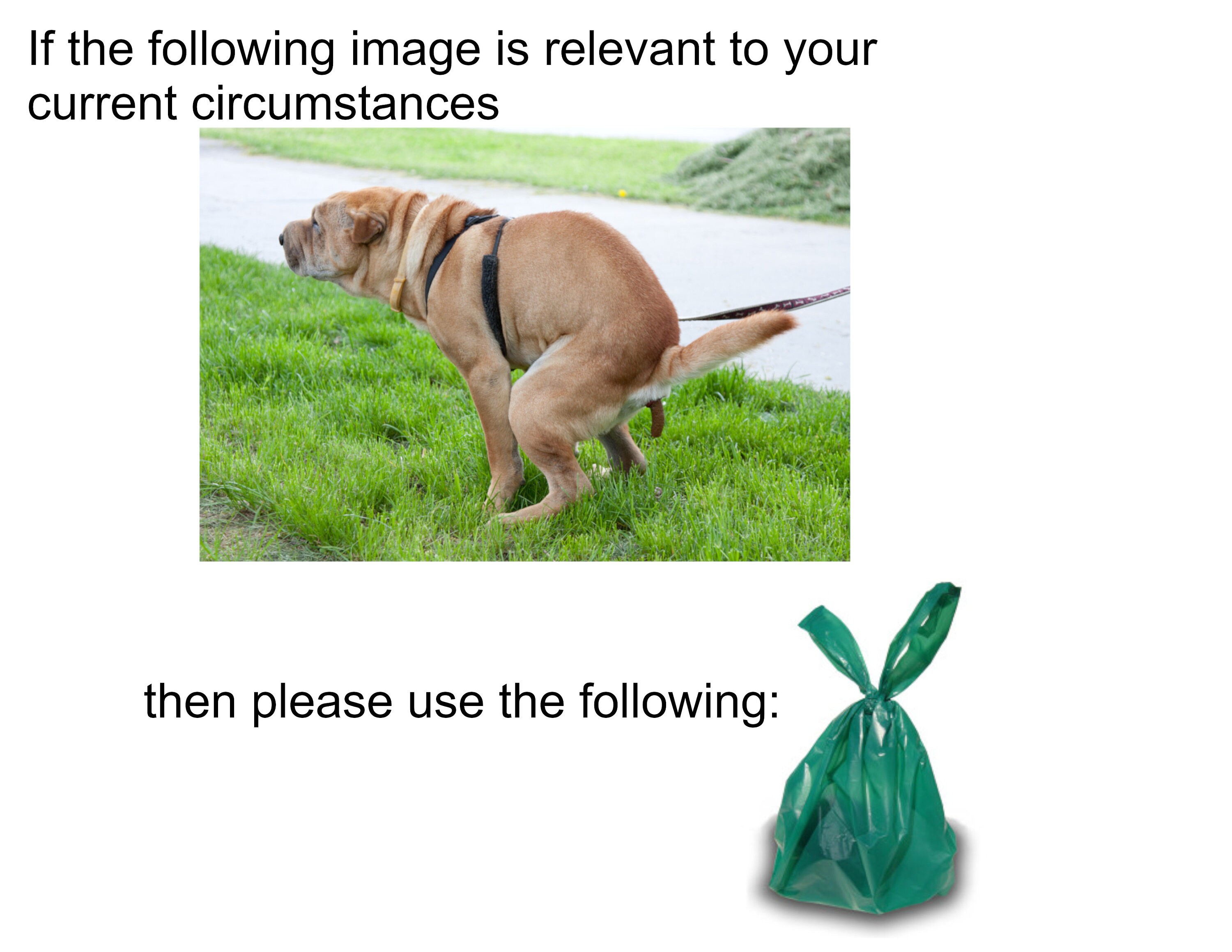 Plz Bag That Dog Poop Sign Printathome PDF Etsy