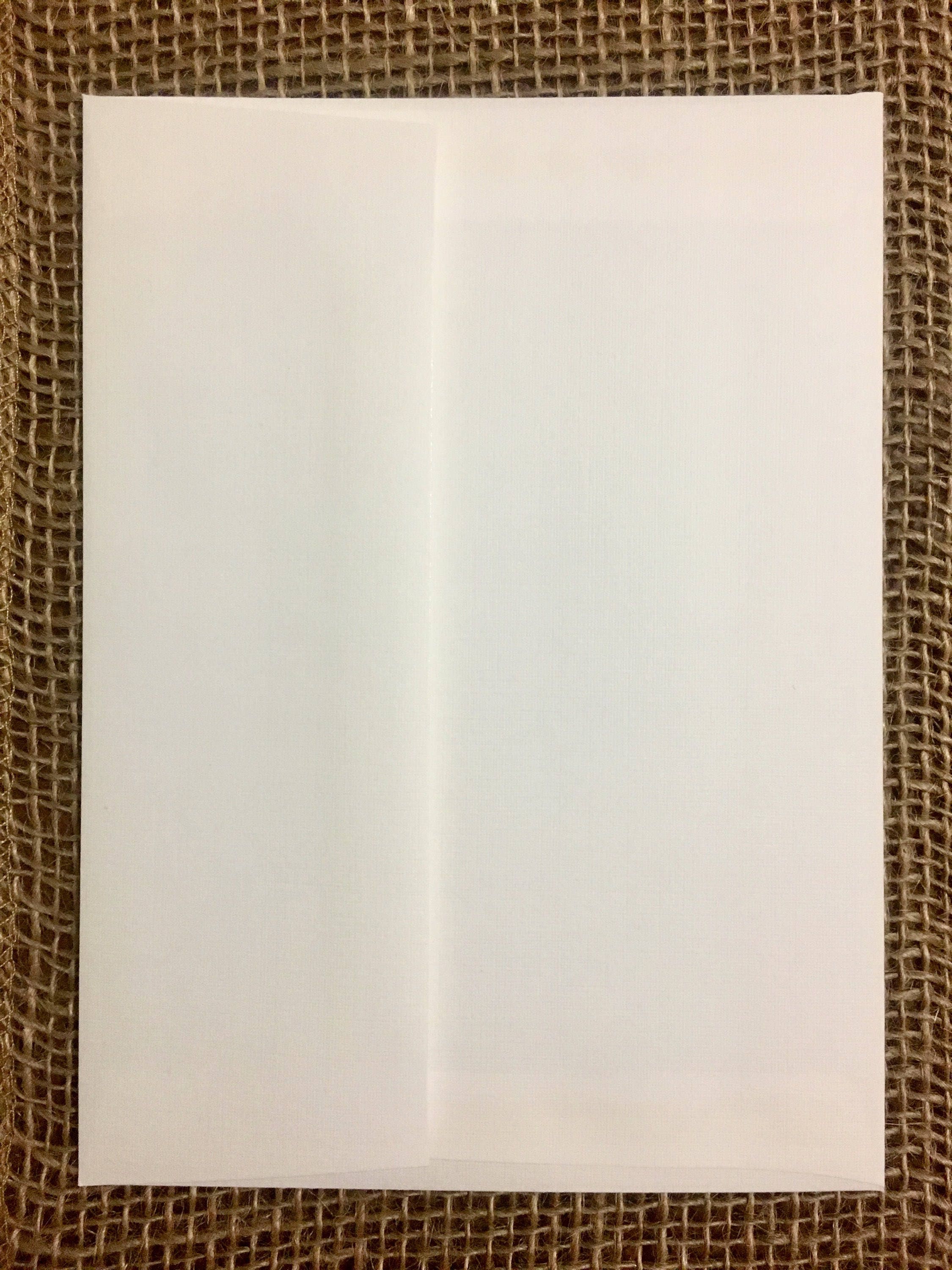 Cold Card Paper Hand-drawn Greeting Card: It's Cold. Let's Cuddle?! Blank Inside for ...