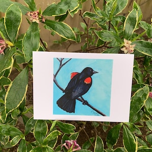 Red-Winged Blackbird Greeting Card 1—Blank Inside for Your Custom Message