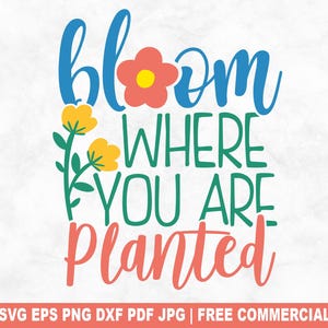 Blüte wo du gepflanzt bist SVG Schnitt Datei, Frühling Oster Saison SVG für Cricut Silhouette, Blumen Blüte druckbare PNG für Shirts Tassen Handwerk