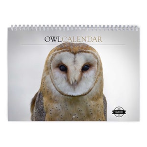 Owl 2024 Wall Calendar ID:W23010 - Etsy