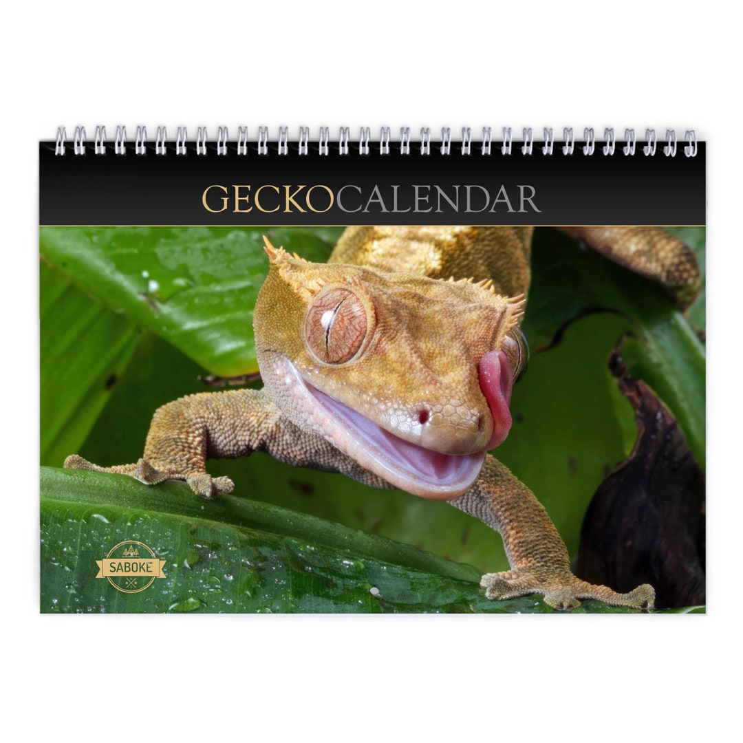 Gecko 2025 Wall Calendar IDW24078 Etsy